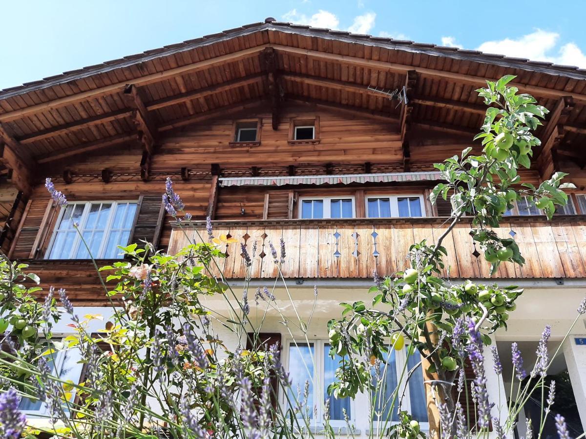 Cozy Chalet by Interlaken. Parking Ringgenberg Eksteriør bilde